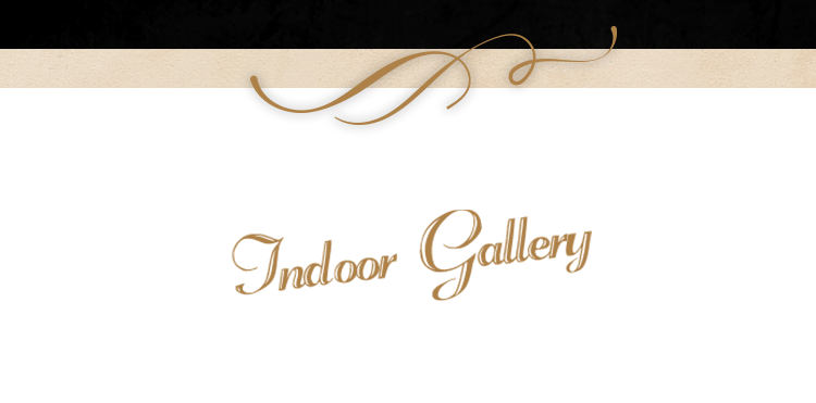 Indoor Gallery